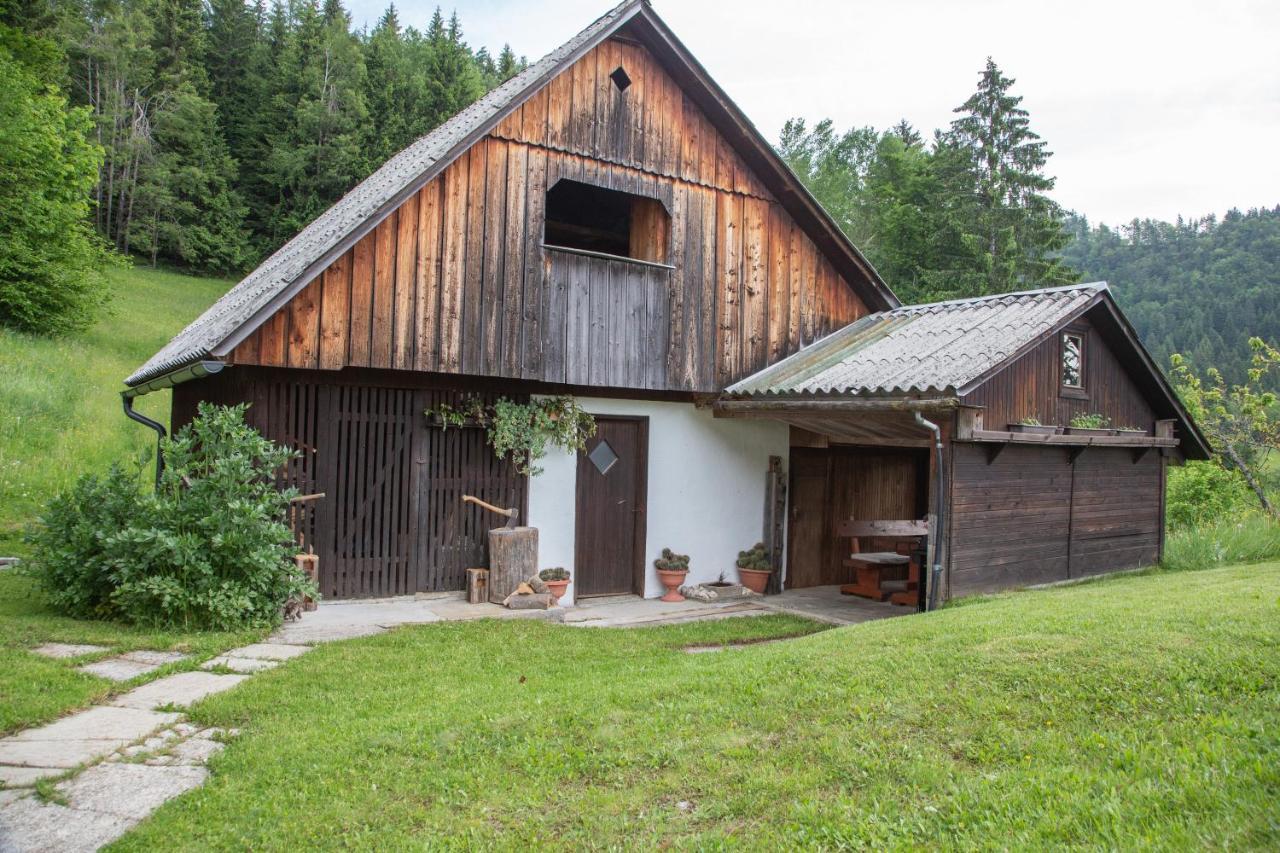 Pocitniska Hisa Pri Goricarju Villa Bohinjska Bistrica ภายนอก รูปภาพ